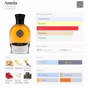 DECANT AMNIA 5ml e 10ml